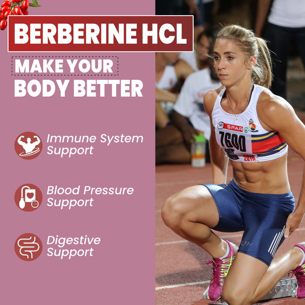 Berberine HCL 1200mg (60 capsules)