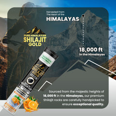 Pure Himalayan Shilajit Gold