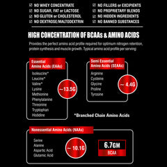 ISOLATE Whey Protein - Low Carb Whey Protein Isolate | with Digestive Enzymes for Enhanced absorption